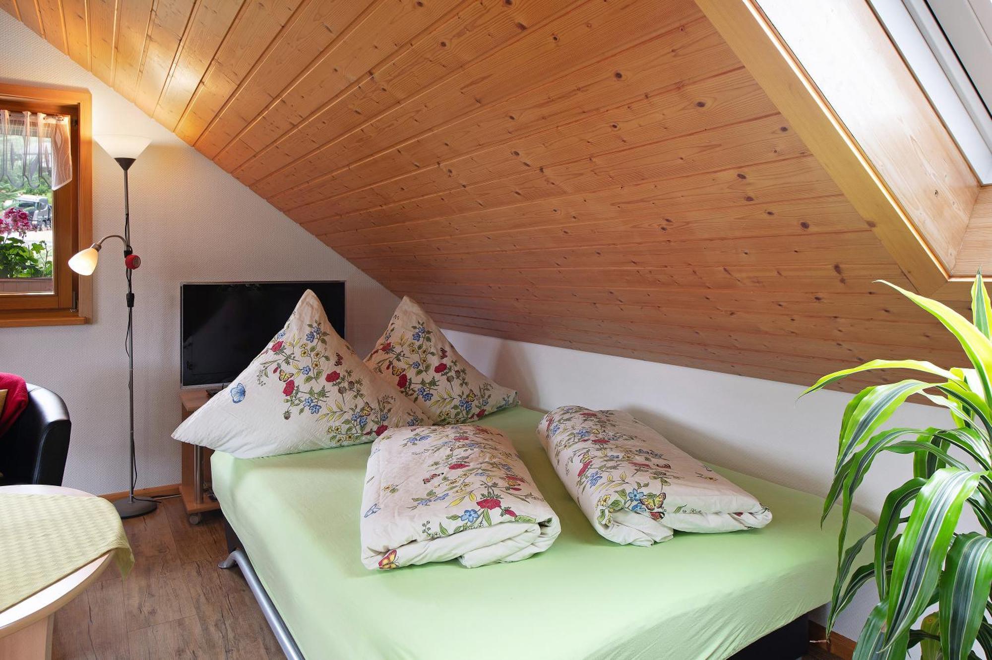 Ferienwohnung Blasi Mit Alpensicht Ibach Kültér fotó
